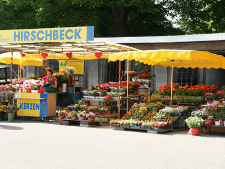 Blumenstand Hirschbeck Zentralfriedhof 1. Tor