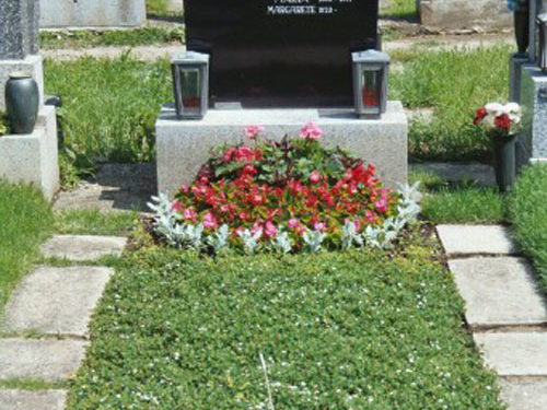 Grabgestaltung Saisonbepflanzung - (Nr. 17)