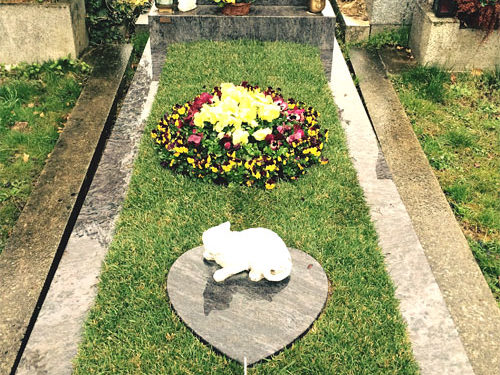 Grabgestaltung Saisonbepflanzung Frühling - (Nr. 2)