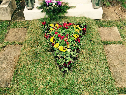 Grabgestaltung Saisonbepflanzung Frühling - (Nr. 3)