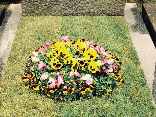 Grabgestaltung Saisonbepflanzung Frühling - (Nr. 4)