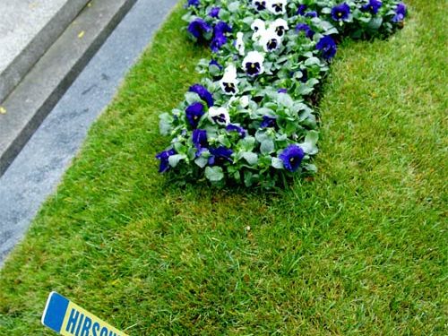 Grabgestaltung Saisonbepflanzung Frühling - (Nr. 5)