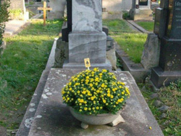 Grabgestaltung Saisonbepflanzung Herbst - (Nr. 6)