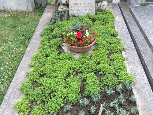 Grabgestaltung Saisonbepflanzung Sommer - (Nr. 1)
