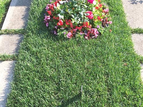 Grabgestaltung Saisonbepflanzung Sommer - (Nr. 2)