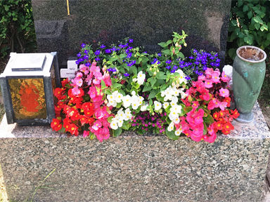 Grabgestaltung Saisonbepflanzung Sommer - (Nr. 9)