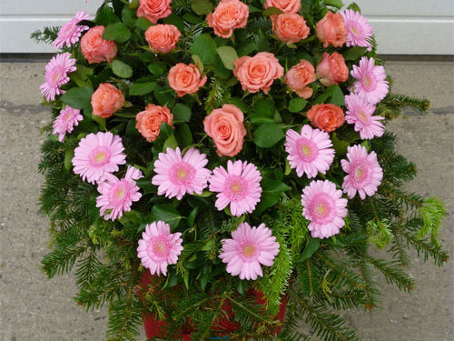 Trauerbinderei Blumengesteck mit Tannenreisig - lachsfarben (Nr. 17)