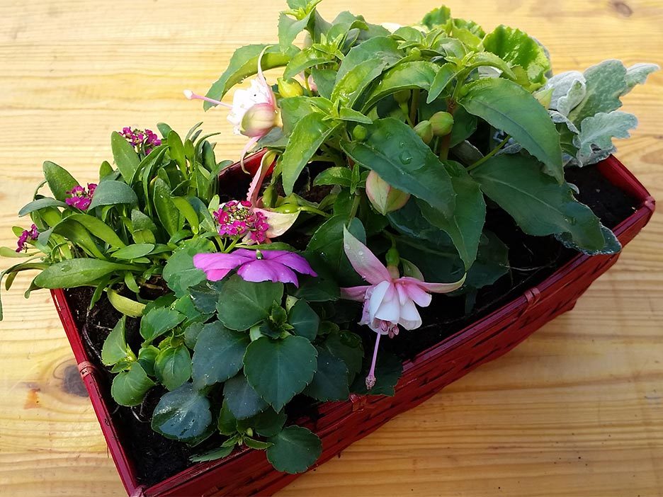 Floristik Blumendekoration (Nr. 4)