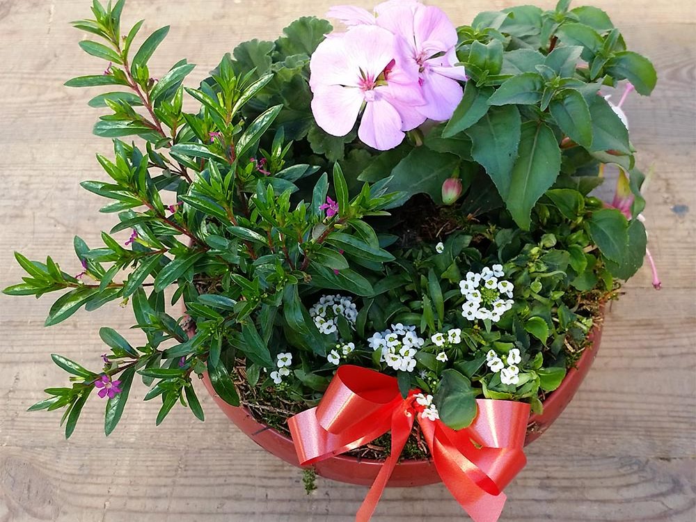 Floristik Blumendekoration Schale (Nr. 1)