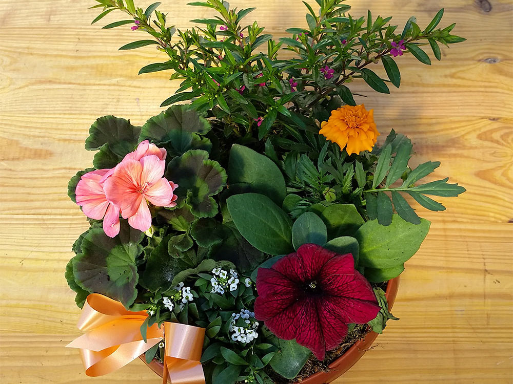 Floristik Blumendekoration Schale (Nr. 3)