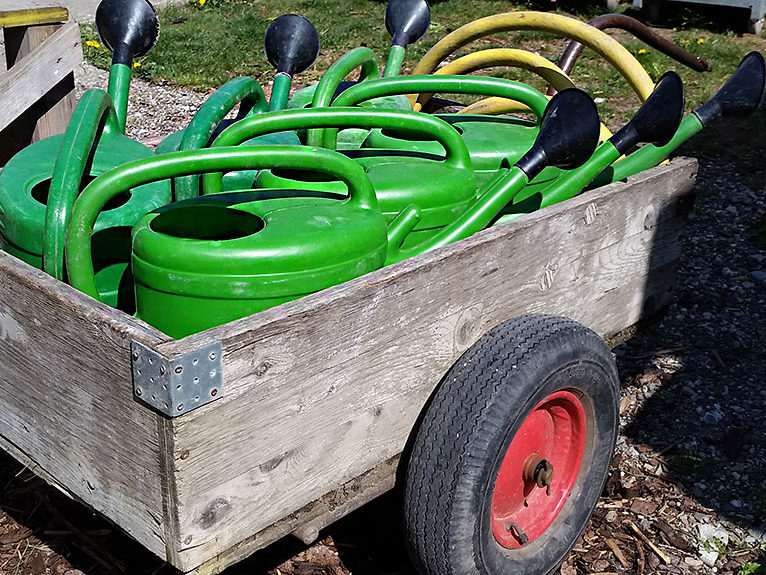 Gärtnerei Pflanzenpflege